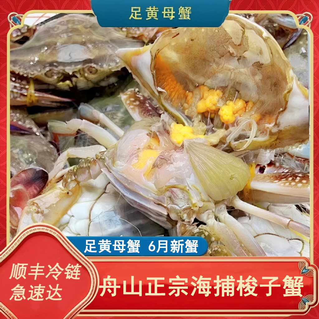 【保鲜保肥足黄】【大母蟹】舟山海捕梭子蟹 4-6两/只净重约4斤【冻蟹】