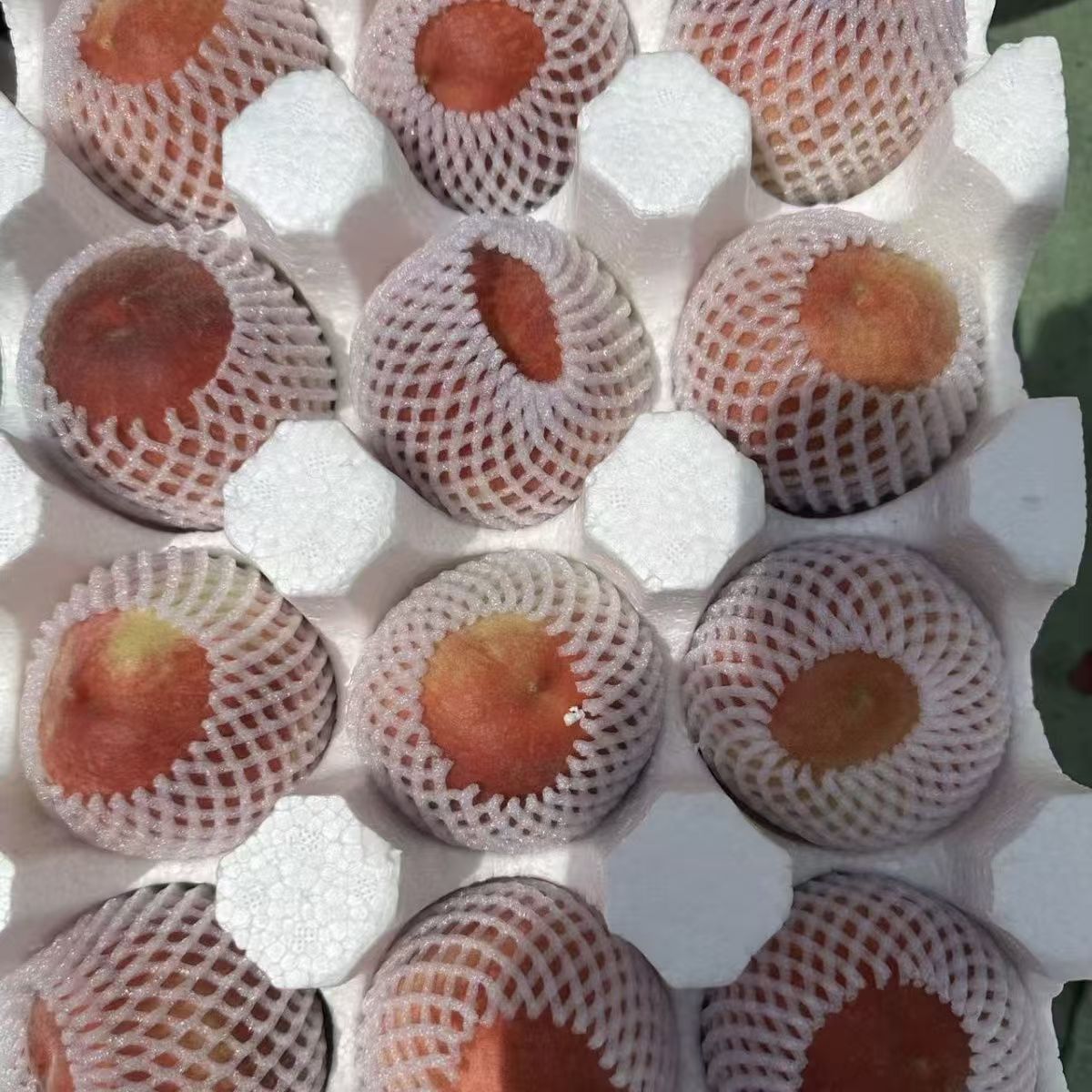 突围白桃小果顺丰包邮