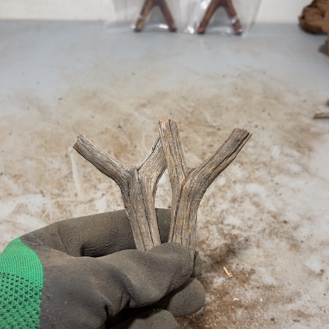 大果紫檀（缅甸花梨）潇****j