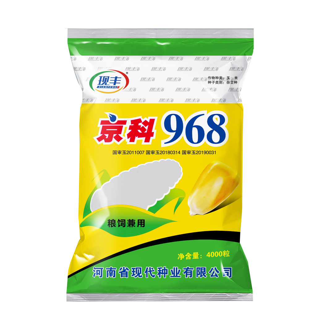 现丰京科 968 玉米品种 矮杆大棒 早熟抗倒 春季种植