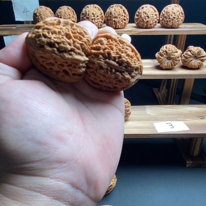 J***n把件桃核南疆石高炮尺寸39