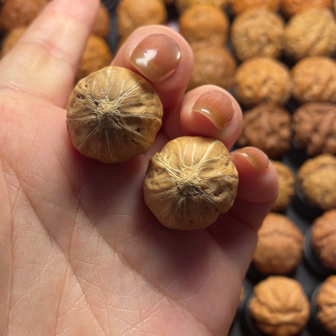 凛***誓文玩核桃把件核桃