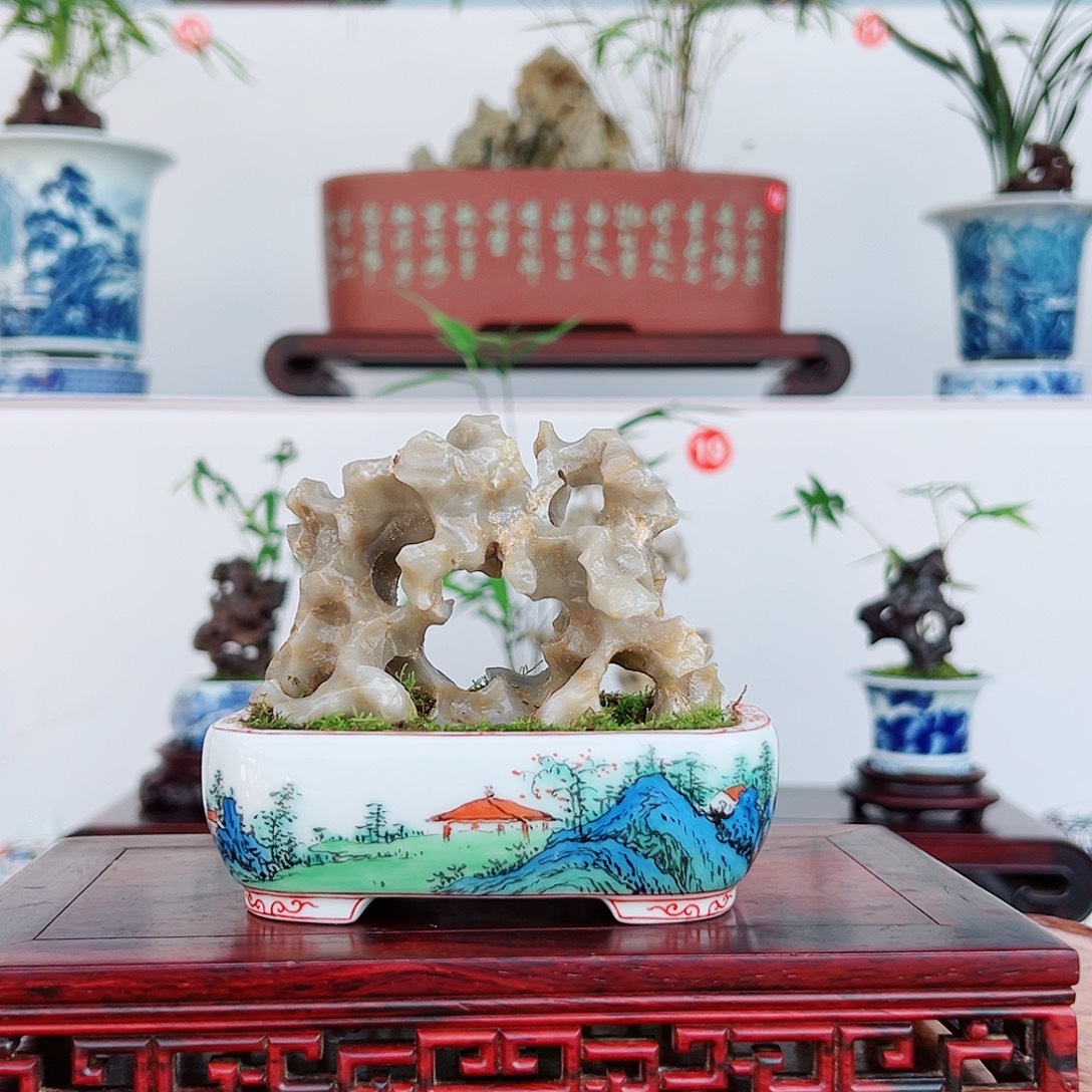 至***宝无花朵盆景，玲珑石，，，，