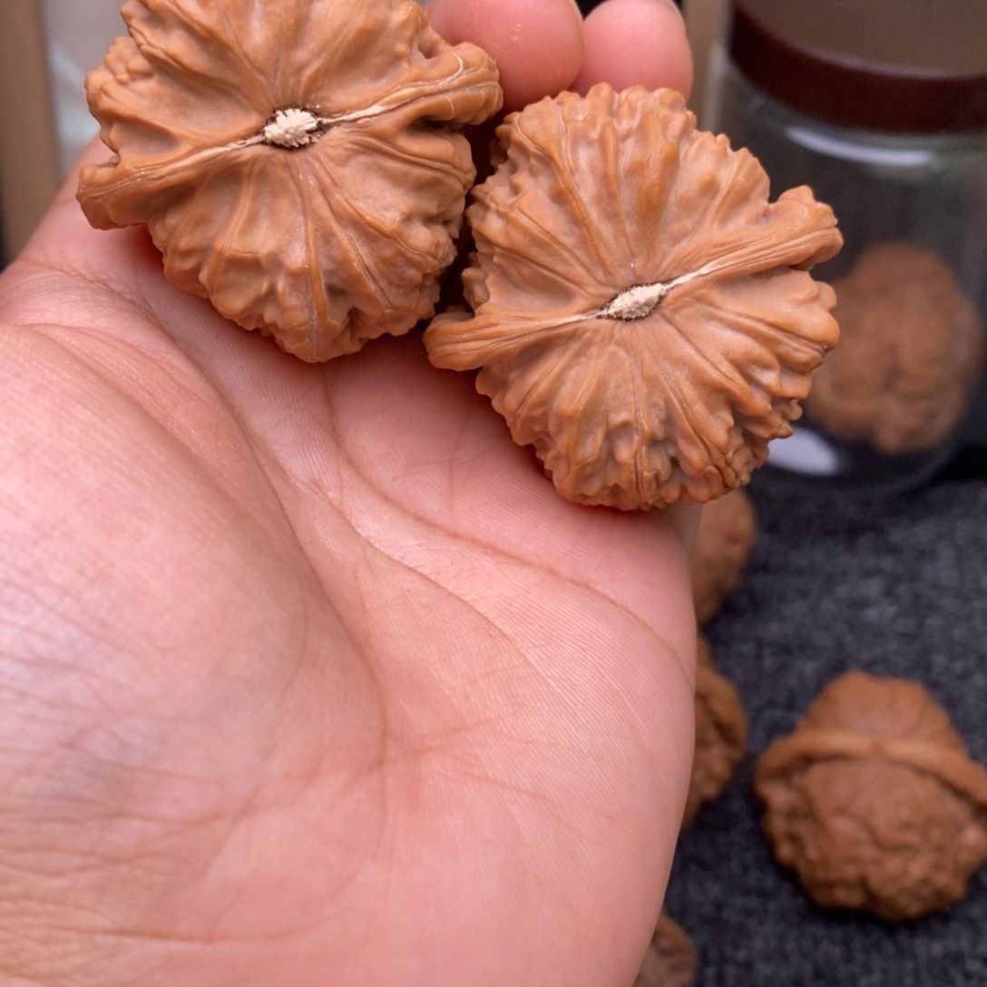 文玩核桃把件41白狮子