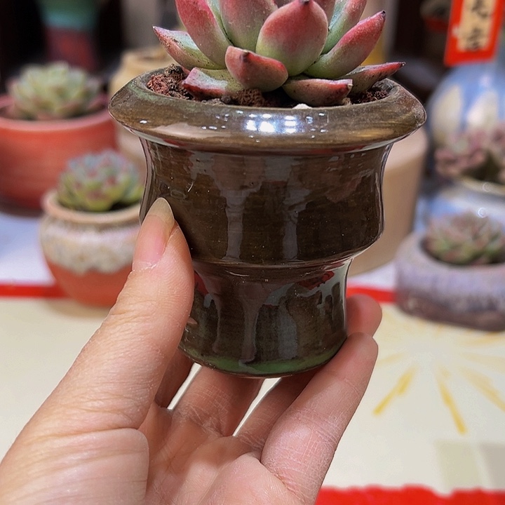 景德镇陶瓷研究所