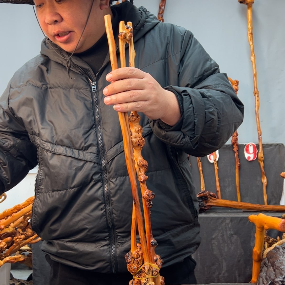 黑果木其他黑果木603