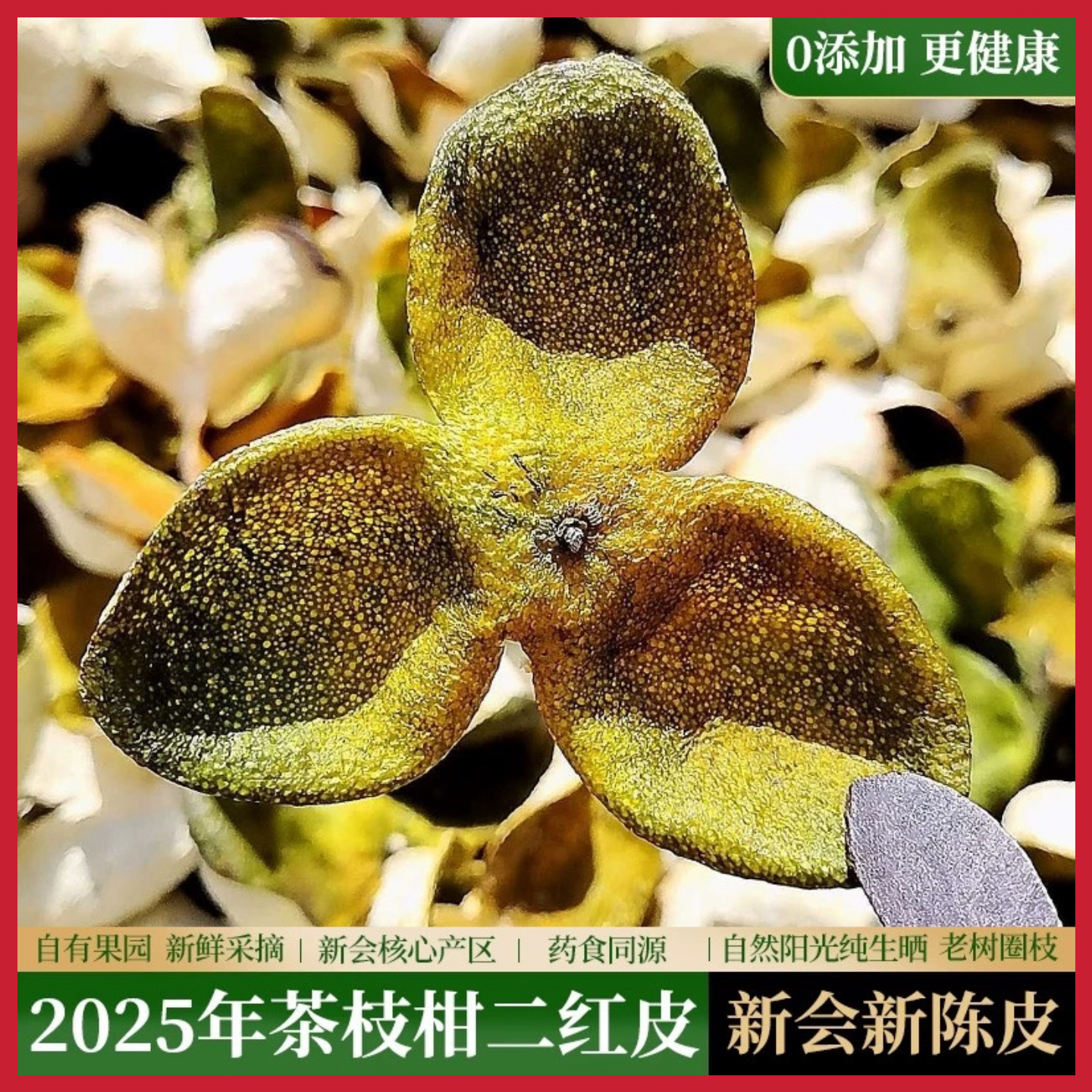 中果新会茶坑圈枝二红皮自然生晒正宗陈皮可泡茶优质新皮