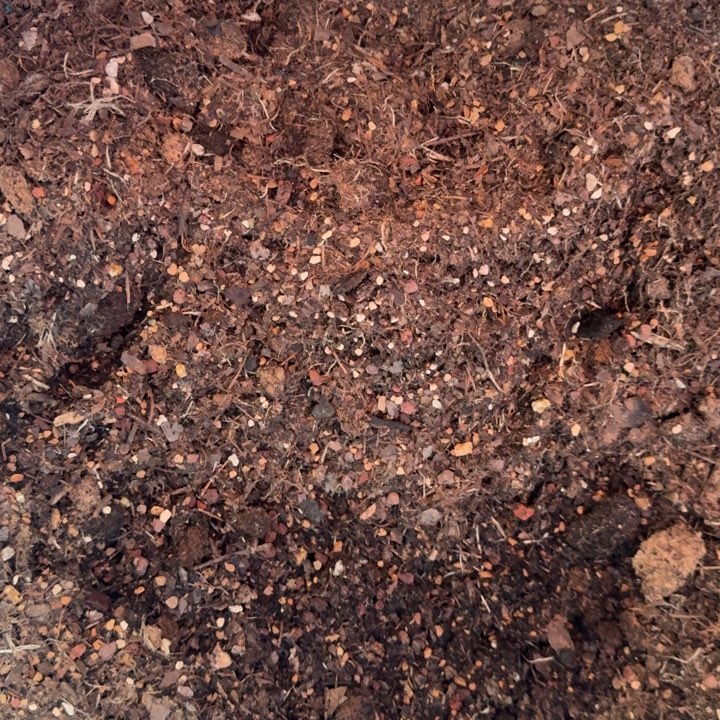 精品多肉植物专用土