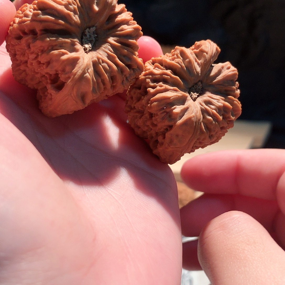 把件文玩核桃43南疆