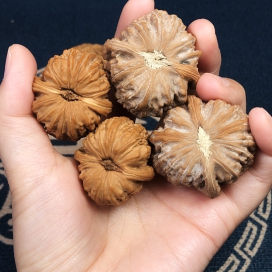 你***吧把件桃核白狮子2对