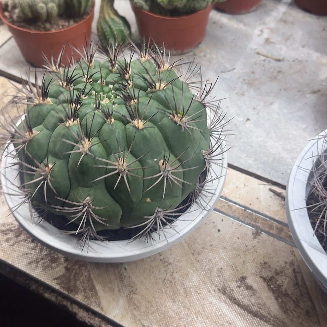 霏***雪无花朵新天地哈哈哈哈哈哈哈