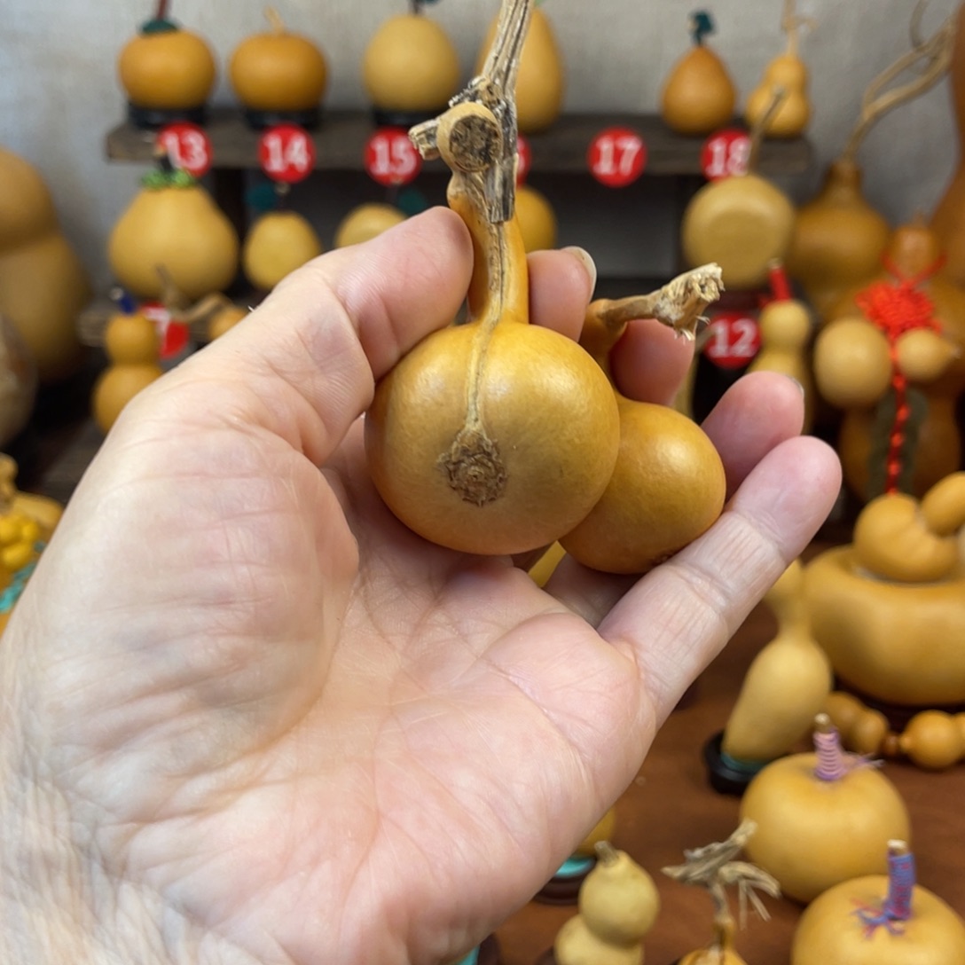 虓***葫芦哈哈哈哈哈哈哈哈