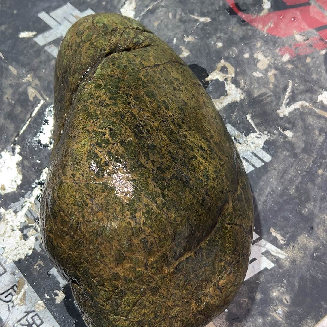 未镶嵌蛇纹石玉西藏藏玉药王石倍****赵