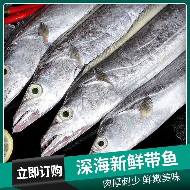 海捕小眼油带鱼 拍3斤送2斤 到手5斤 码头产地冷链直发