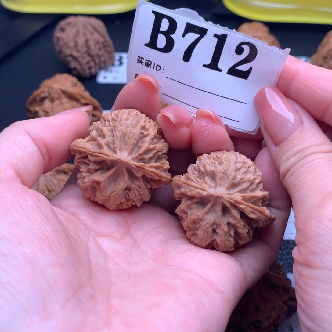 核桃苹果园712链接36尺