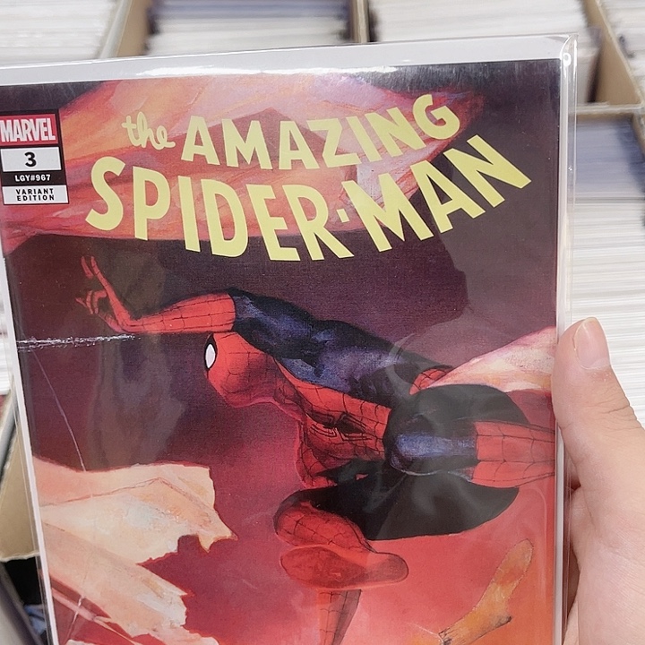 超凡蜘蛛侠3变体封