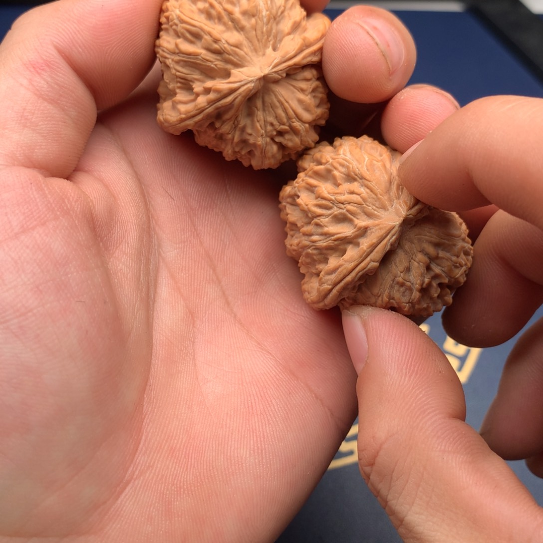 文玩核桃把件白狮子