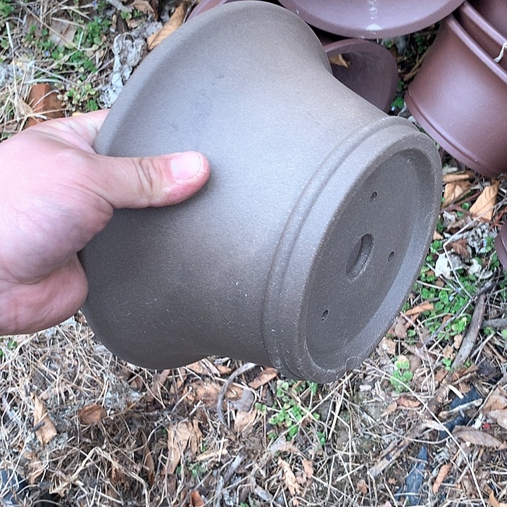 紫砂我要和你们在一起吧……