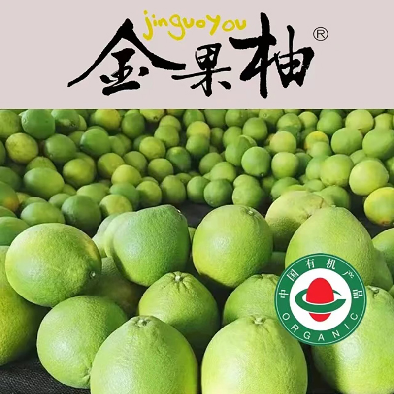 金果柚韶关金果柚现摘现发纯甜无酸水分充足柚子