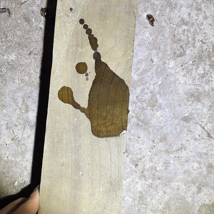 金丝楠金丝楠yc哥