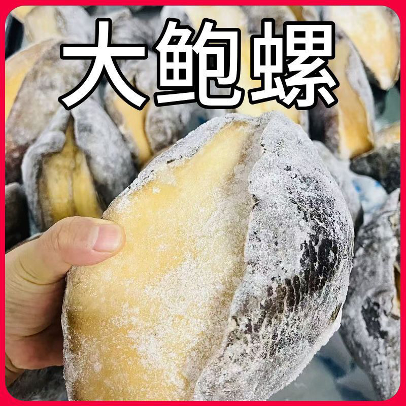 塞内加尔冷冻宽口涡螺肉 大鲍螺 一只一斤多 煮5分钟切片沾辣根