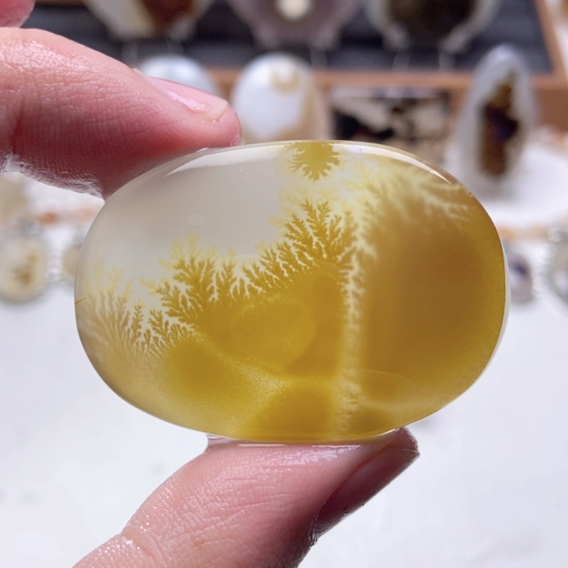 【闪购商品】玛瑙/玉髓颈饰未镶嵌