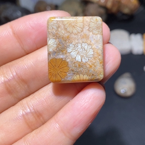 【闪购商品】硅化玉吊坠(不含链)未镶嵌