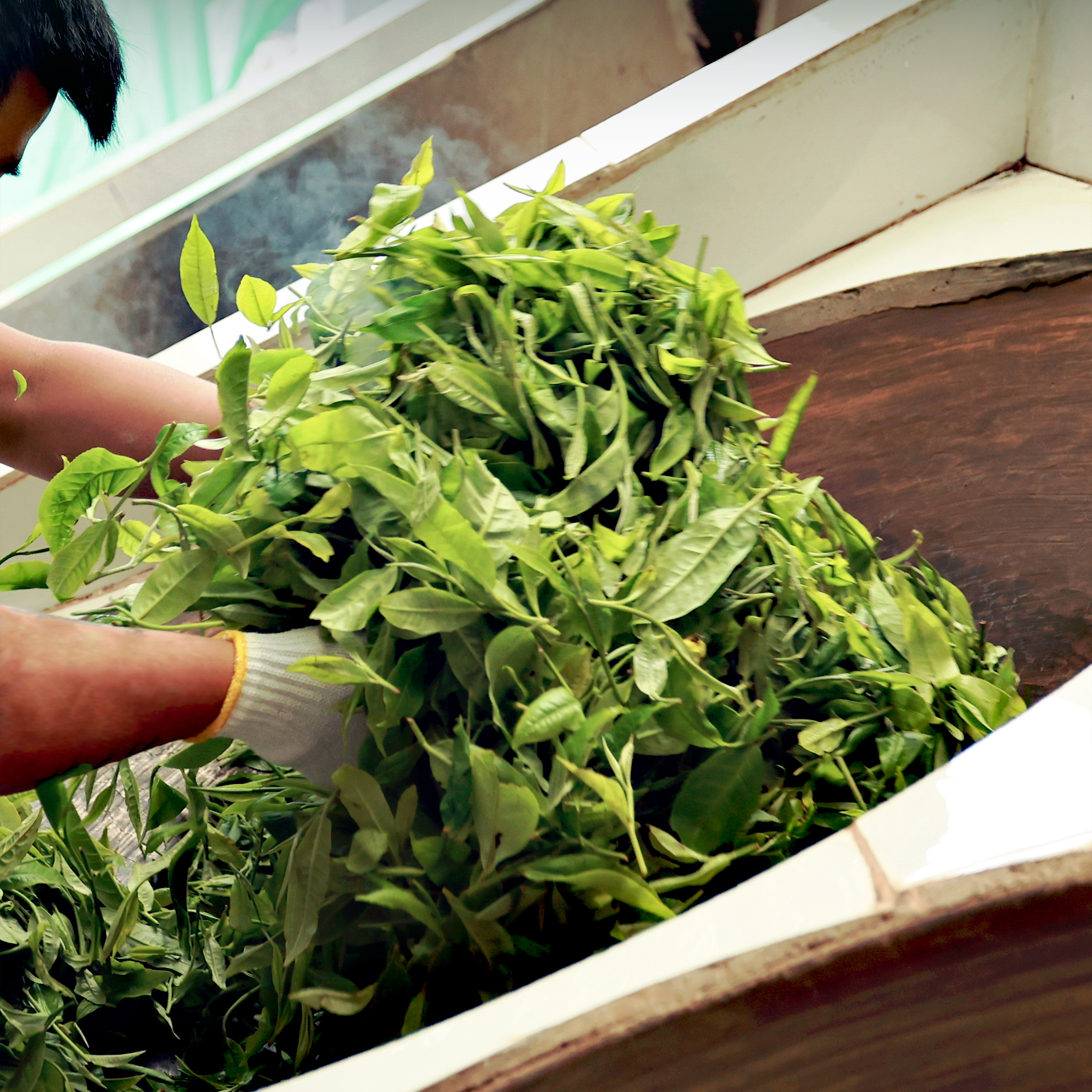 2004年普洱方茶100g  普洱茶 生茶  通用链接