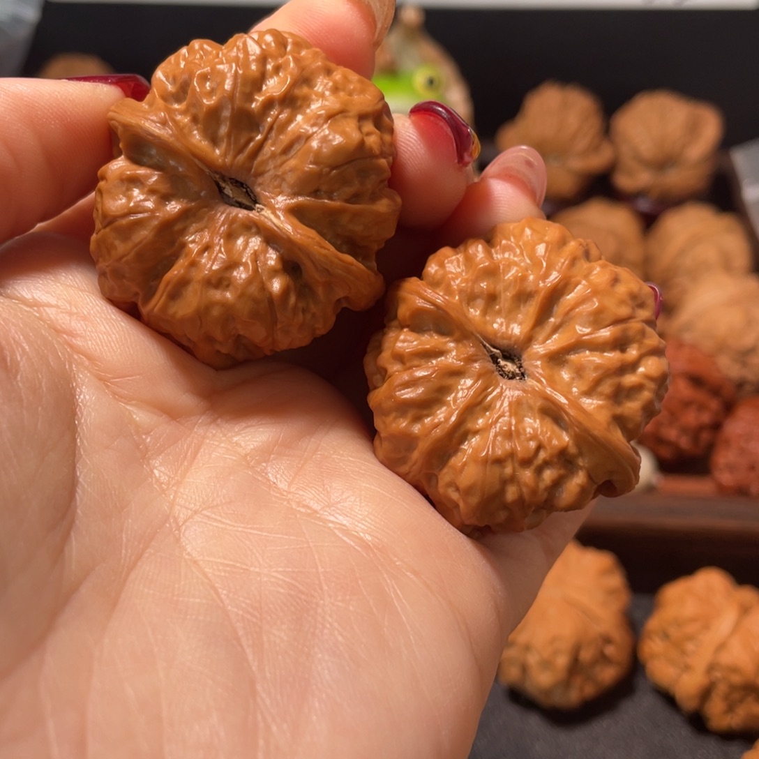 範***範核桃手串/手链蛤蟆40