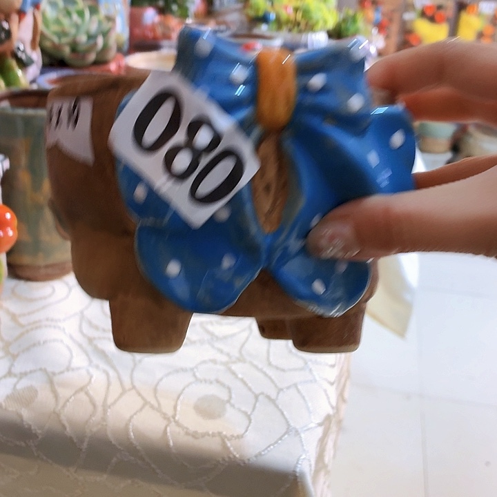 多肉花盆满15包邮