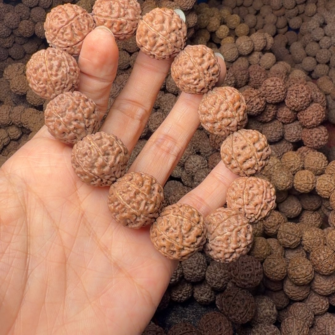 金刚菩提手串8瓣卡20尺，75号