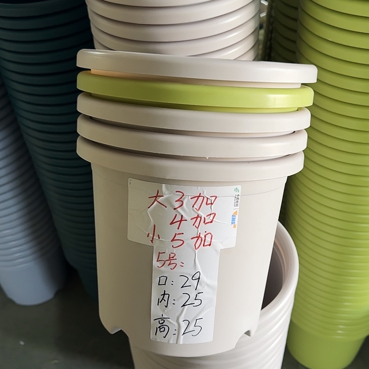 四季5#口径29果绿10个无托