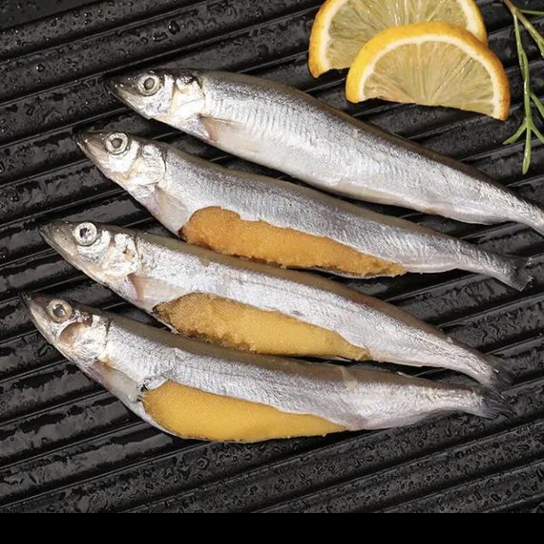 多春鱼大号满籽海捕3斤顺丰包邮