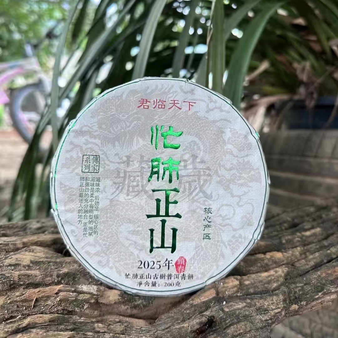 2025年忙肺正山核心区选株古树头春普洱生茶  200克饼茶