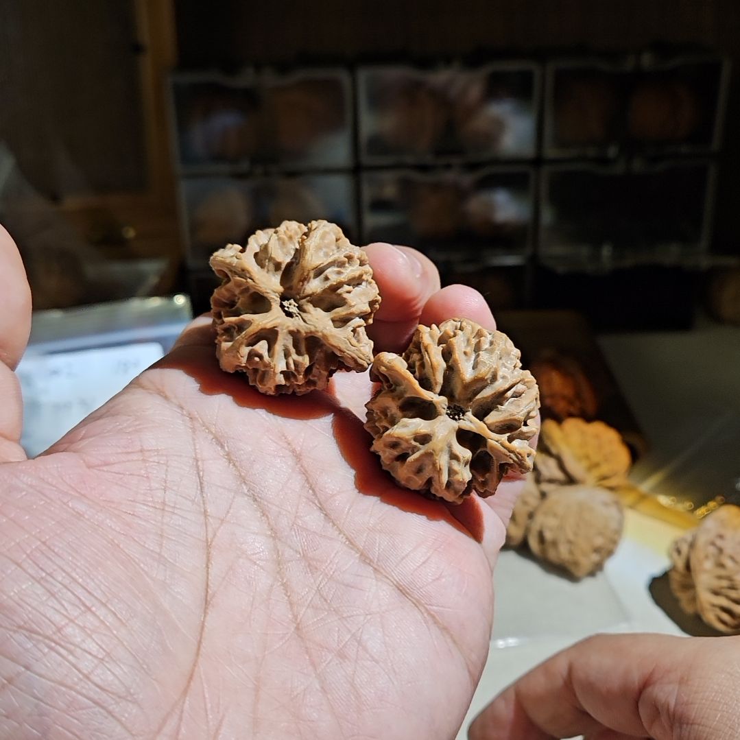 把件文玩核桃37苹果园