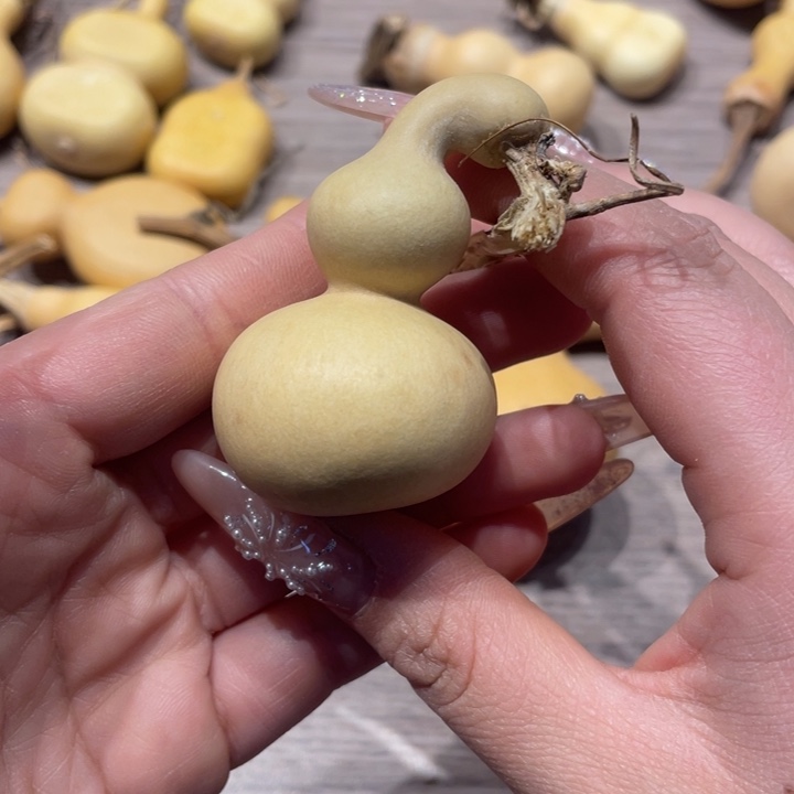 用****2葫芦葫芦葫芦葫芦