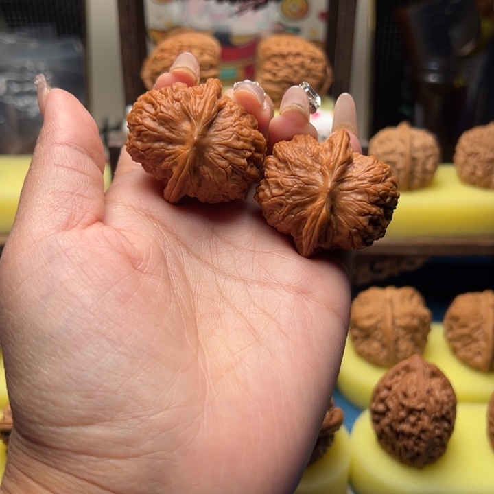 木质37尺寸全品血麒麟