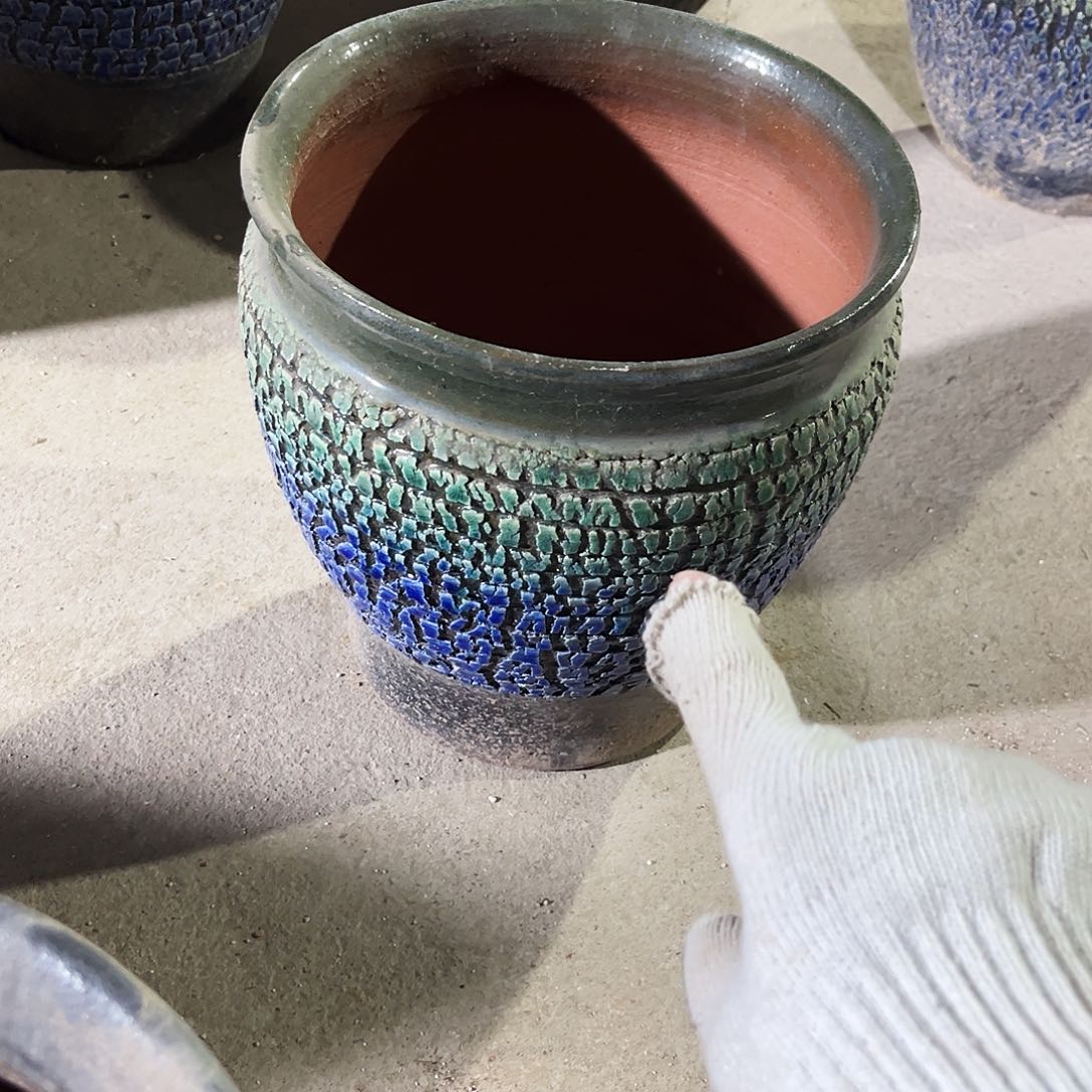 紫砂花盆里的小猫咪