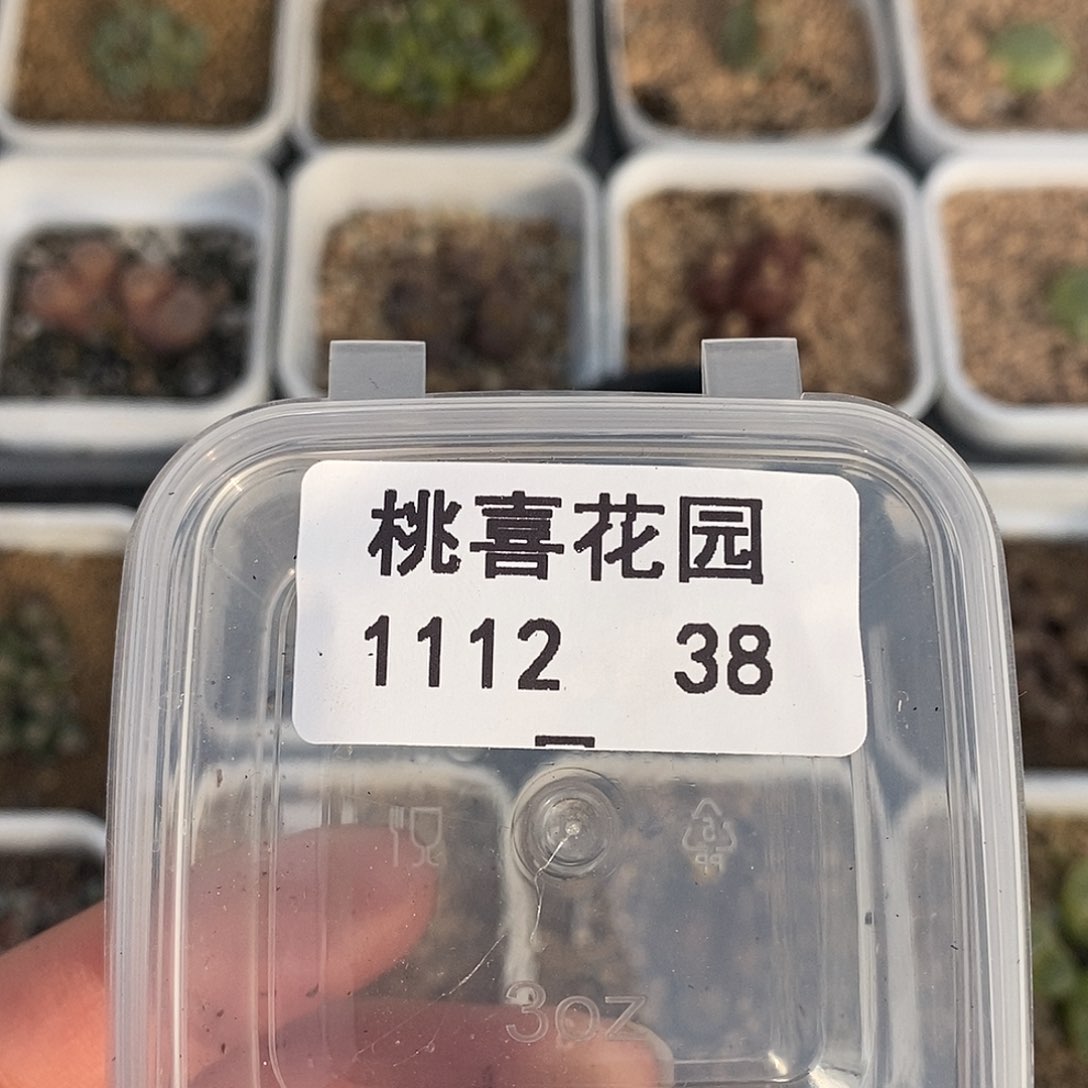 秋***?12-38-超墨差价。  