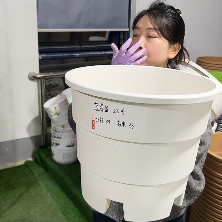 正品蓝莓盆口39高33白色3只无托