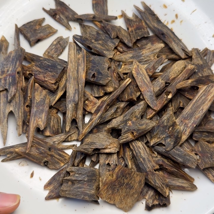 沉香沉香碎屑布**店海南白棋树心油老料20克