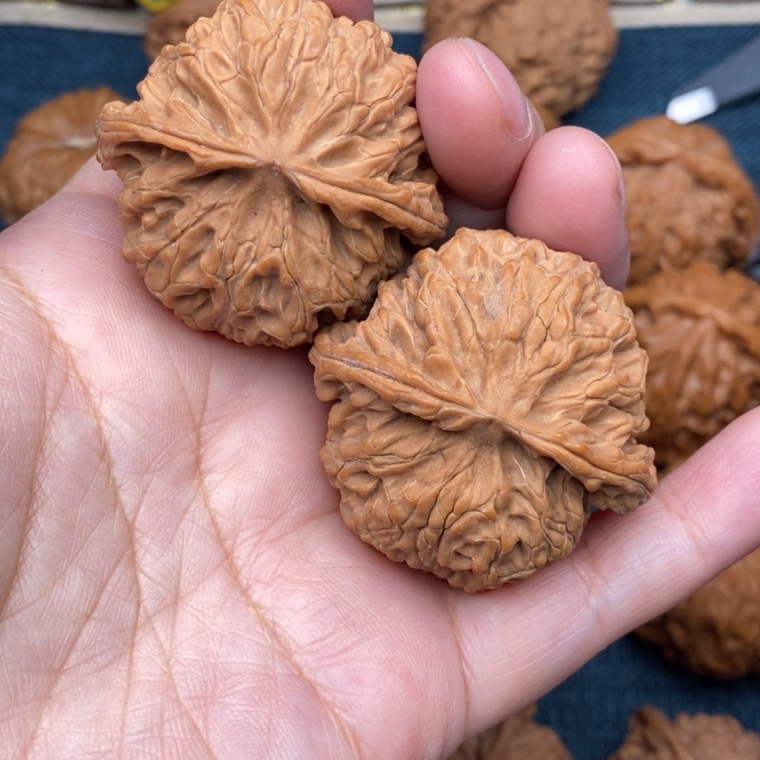 文玩核桃把件43毕业球苹果全品