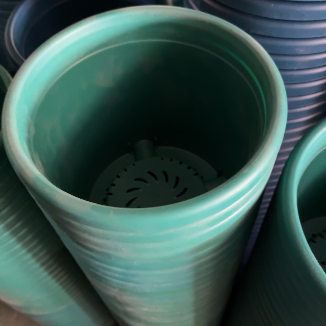 四季4号无拖祖母绿8个