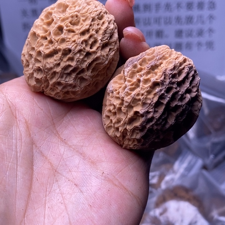 核桃云南野生铁核桃163号40mm