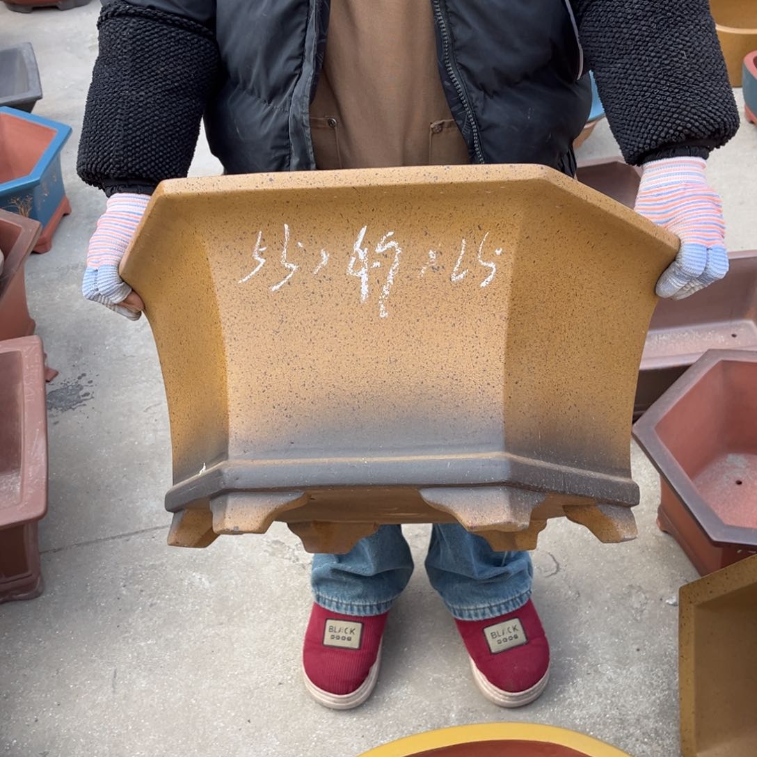 紫砂花盆盆景艺术