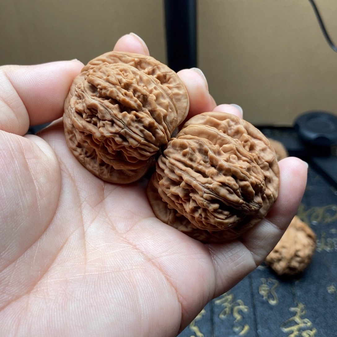 核桃44尺全品无修四座楼