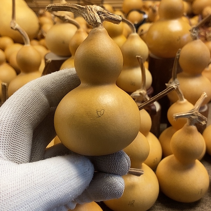 文玩葫芦 完美主义者 慎拍50