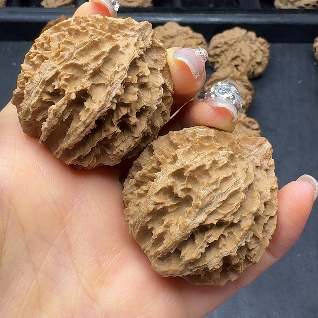 桃木突突突突突突突突