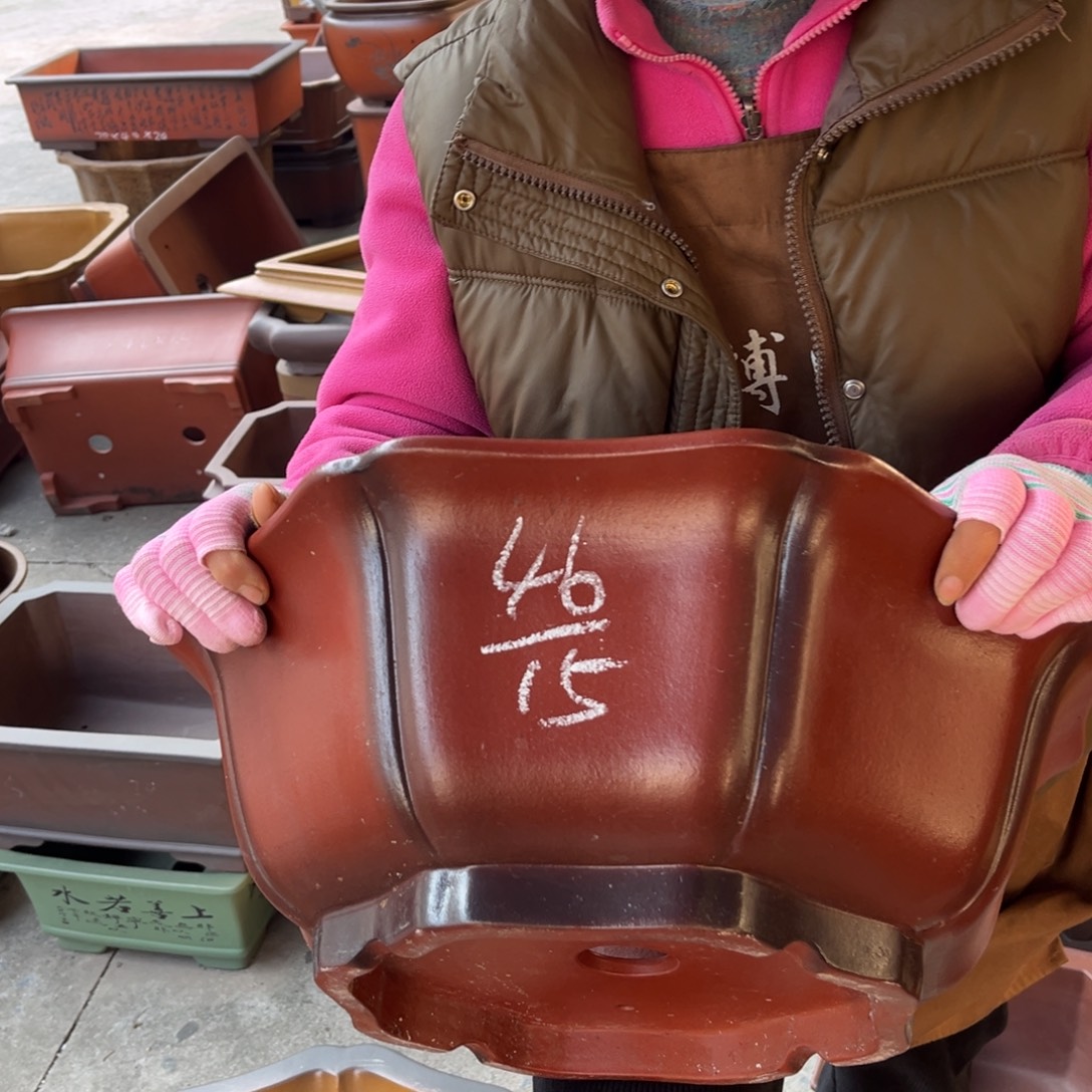 花盆紫砂盆景艺术