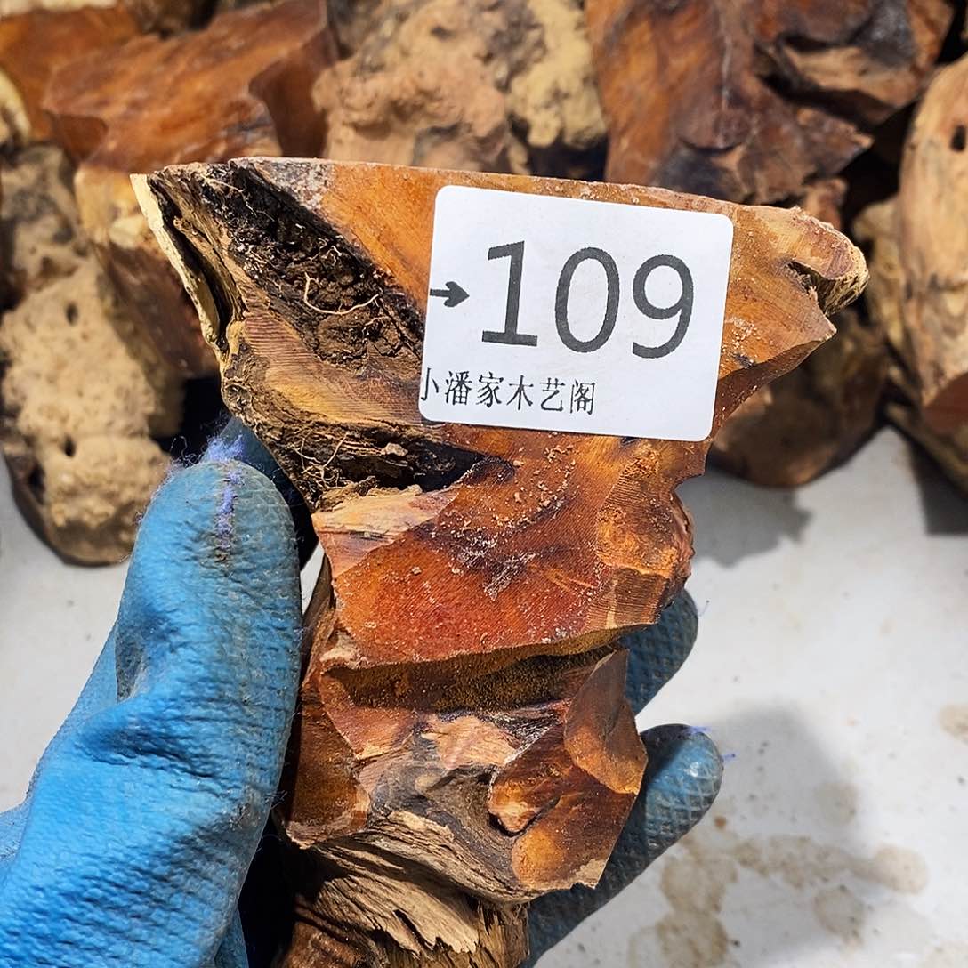 香榧木一*红火琉璃……火琉璃